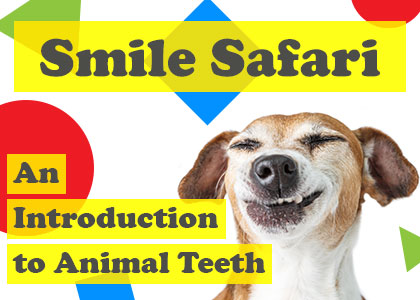 Abilene dentists, Dr. Awtrey & Dr. Webb at Abilene Family Dentistry, take readers on an exploration of animal teeth and explains why they can be so different from creature to creature.