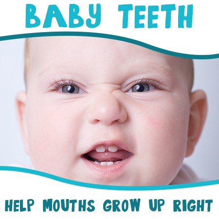 Abilene dentist, Dr. Webb & Dr. Awtrey at Abilene Family Dentistry, discusses the importance of baby teeth in setting the stage for good oral health later in life.