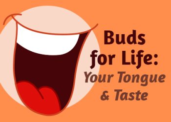 Abilene dentists, Dr. Webb & Dr. Awtrey at Abilene Family Dentistry, take a moment to talk about what’s responsible for your love and dislike of certain foods: taste buds!